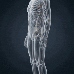Anatomy Of Your Pain.